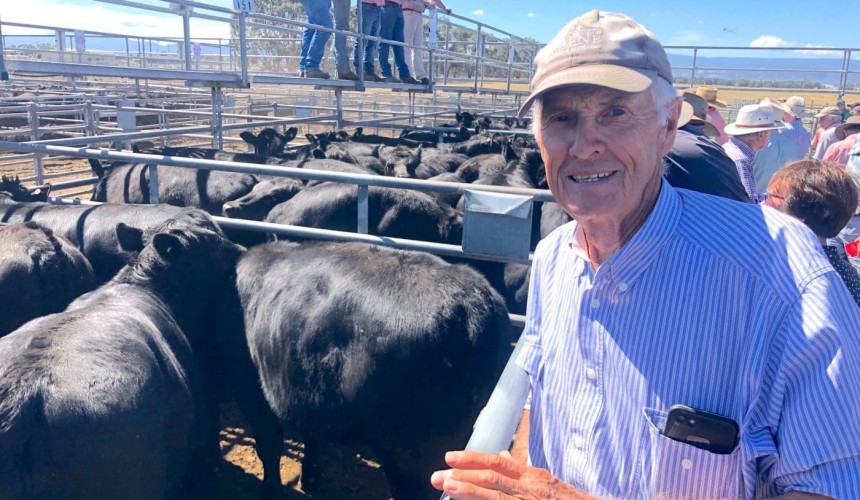 Local buyers defend their patch in Tassie weaner excitement – Murray Arnel sale report