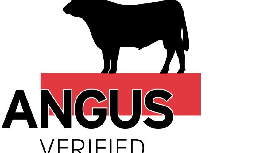 Producer webinar to explore how Angus Verified program protects breed integrity