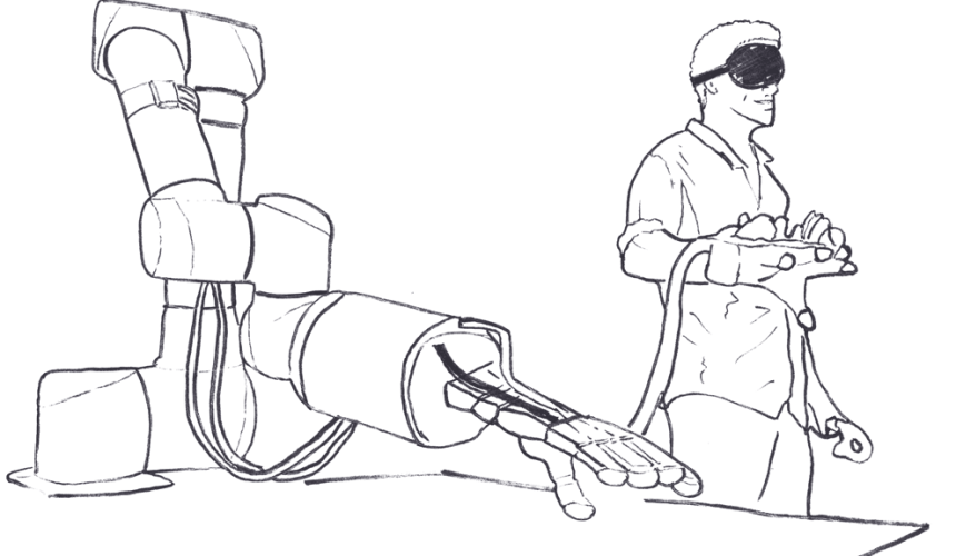 Red Meat R&D: Upping our game in processing efficiency