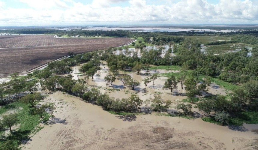 Feedgrain Focus: Rain sinks values despite freight squeeze