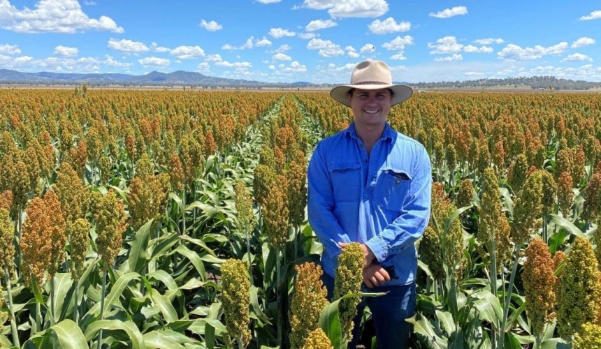 Feedgrain Focus: Prices firm as coverage extends