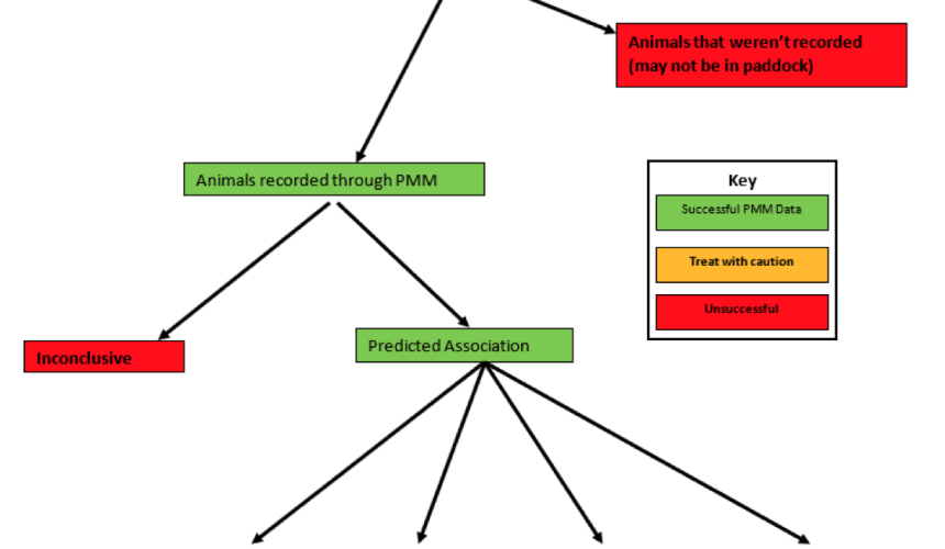 Weekly genetics review: Opportunities to capture maternal performance data on-farm