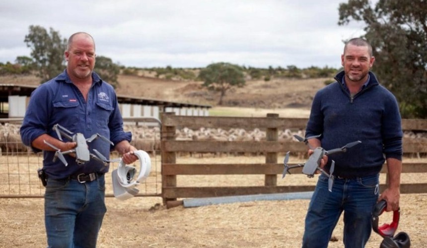 Mustering safely with drones at Beeac + VIDEO