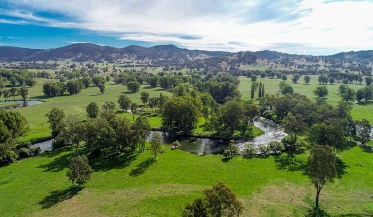 Movement at the station: Properties for sale