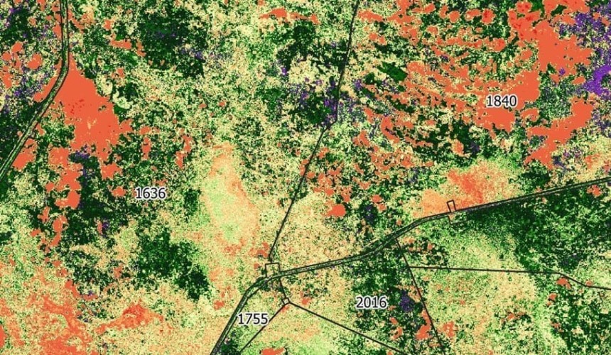 Cattle feed estimates go high tech using satellite image approach