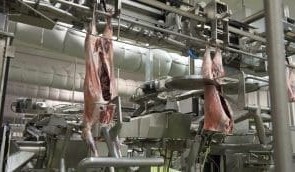 TFI launches $10m automated lamb boning project at Tamworth