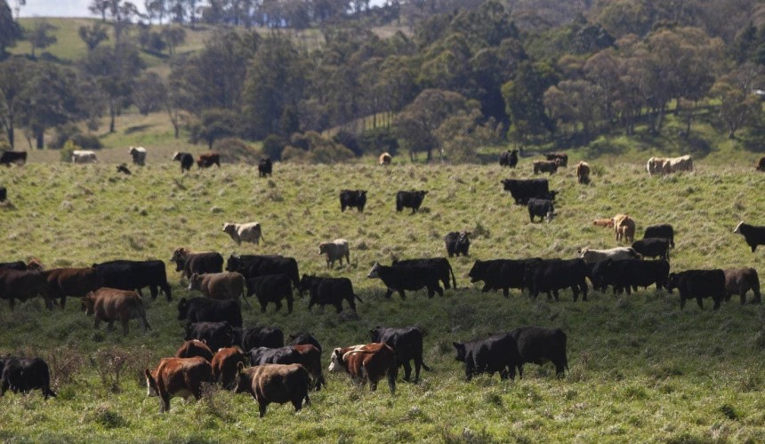 Wilmot: Can Regen Ag embed itself in the shopping basket?