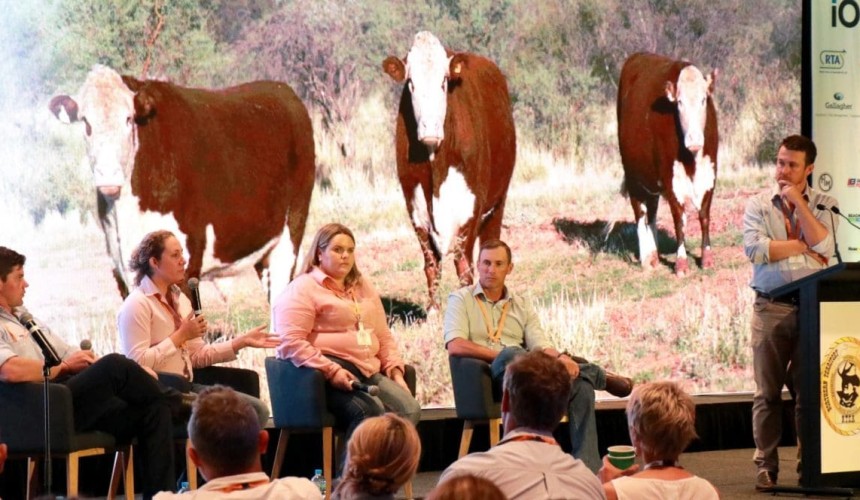 Cattle station managers and trainers offer tips on finding staff and keeping them