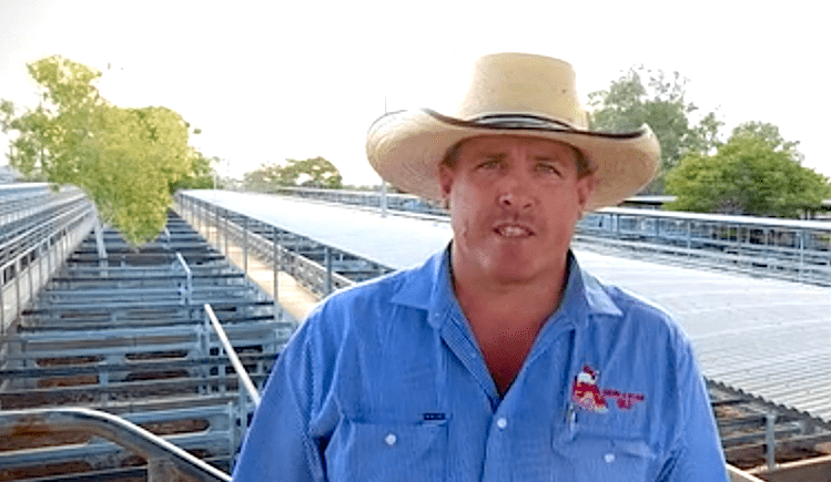 Beef 2021: Prime beef rolled out as Beef Barbarians tackle Classic Wallabies