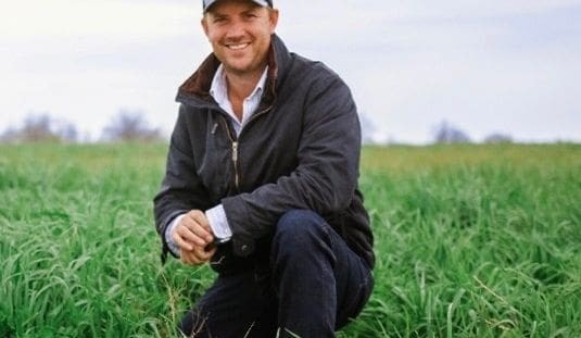 Cattle Australia reaffirms push for CN30 review, so why isn’t it happening?
