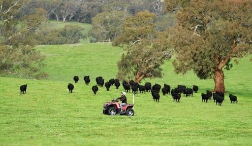 Quad bike safety checks show improved compliance