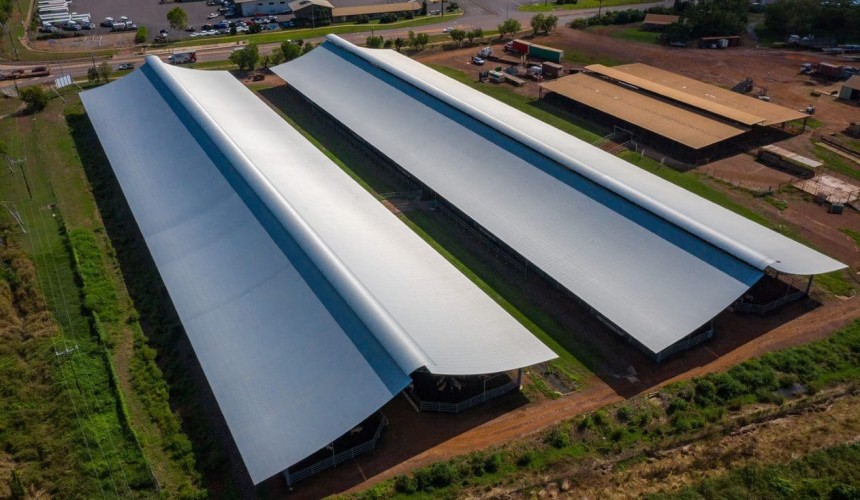 New sheds have NT live export trade covered