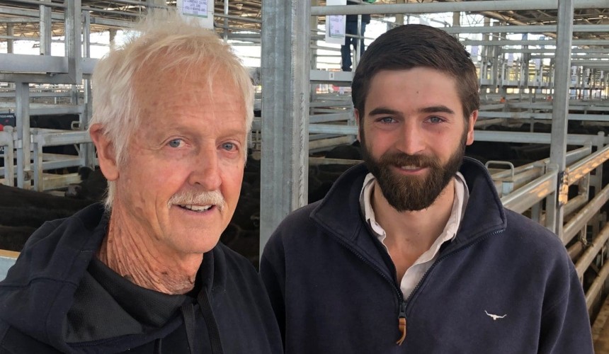 Feedlots lift rates at Ballarat