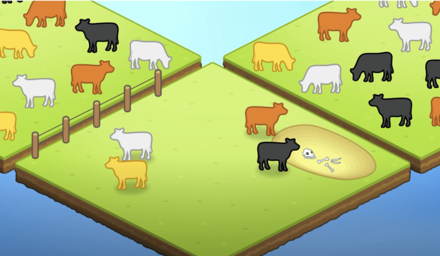 Epicurious – why eating less beef won’t save the planet + VIDEO