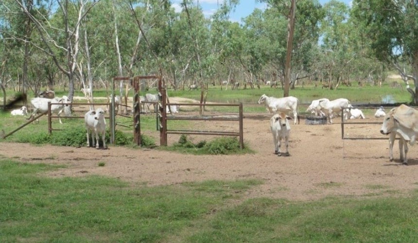 Weekly property review: Are producers re-valuing northern forest country?
