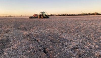 Feedgrain Focus: Prices ease despite Vic, SA dry