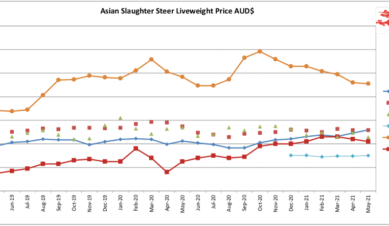SE Asia Report: Feeder prices hold above $4/kg
