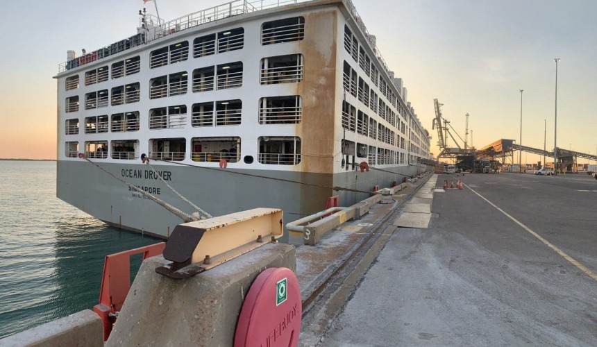 Big week in Darwin as 15,000 cattle successfully loaded and shipped amid COVID lockdown