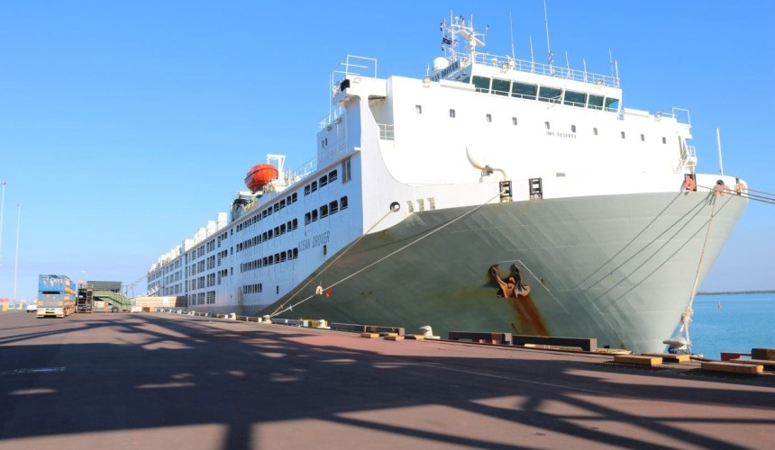 Australian cattle exports lift in June, COVID outbreaks cloud outlook