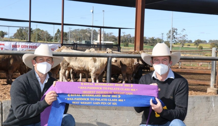 Palgrove and Russell Pastoral take major 2021 Ekka paddock to palate weight gain honours