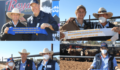 Paddock to Palate: “This competition is great at measuring profit”