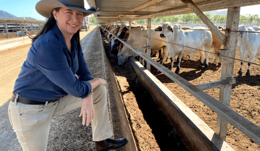 Senate inquiry launched into food labelling laws