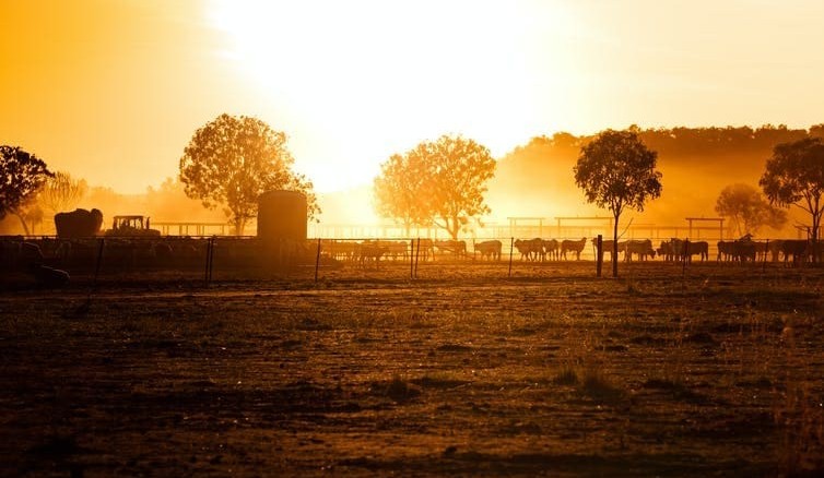 Sun sets on Cattle Council of Australia