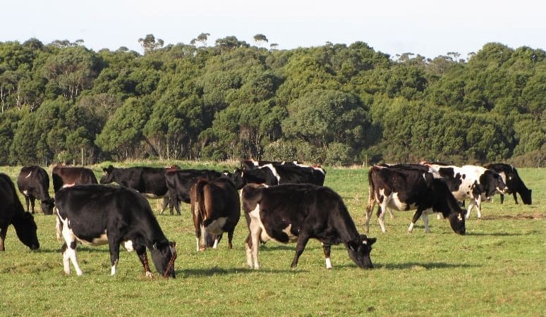 Prime Value expands with part Van Dairy buy from Chinese owners