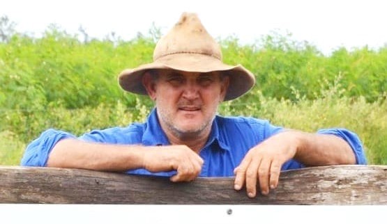 Browse legume leucaena proves its worth across Northern Australia