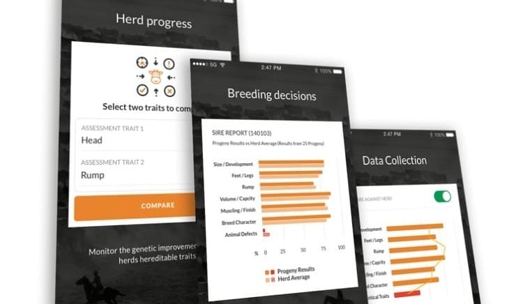 Weekly genetics review: Objectively assessing structure – a new app for producers