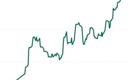 EYCI’s blistering ‘near vertical’ climb continues, with 1000c/kg in sight