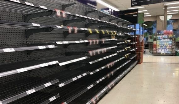 Parliamentary inquiry into food security launched