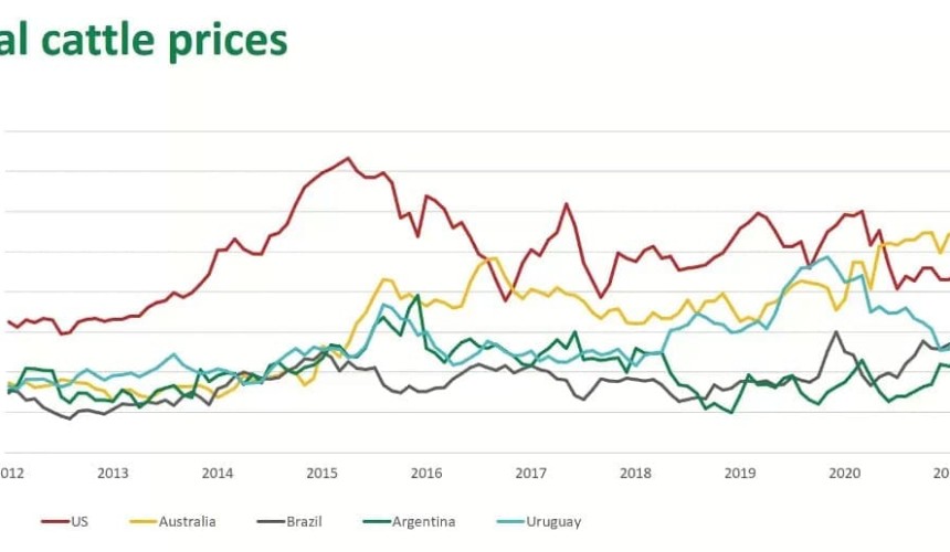 Australia remains well on top in global cattle and beef price ‘league table’