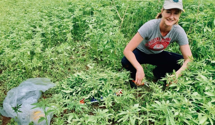 High promise shown in industrial hemp livestock trial