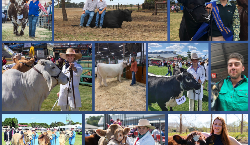 Young beef judges and paraders set for national finals