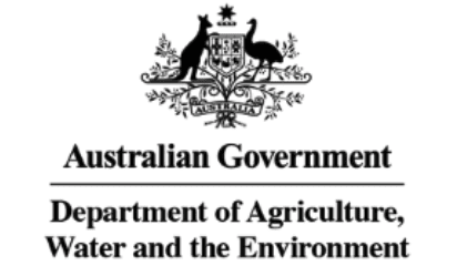 DAWE investigating new allegations of cattle mistreatment in Indonesia