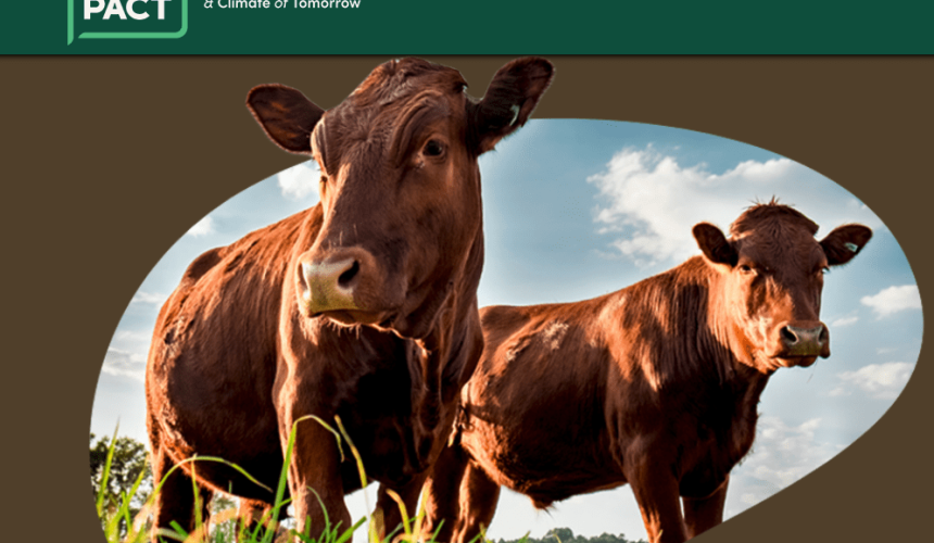 Animal agriculture organisations launch new Protein PACT