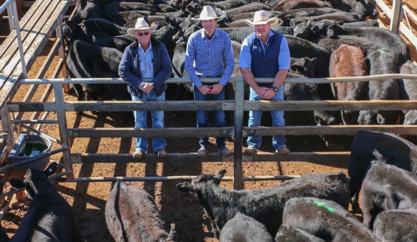 Roma store sale 13 July:  Numbers jump with annual Kindee run