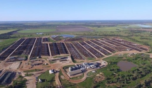 Feedlot emissions likely to be 43 percent less than Govt inventory