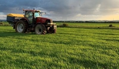 Feedgrain Focus: Buying interest latches on to central NSW