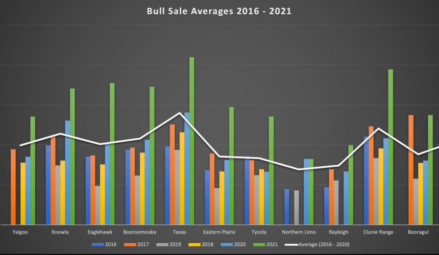 Weekly genetics review: Booming bull sale averages – but it’s all relative
