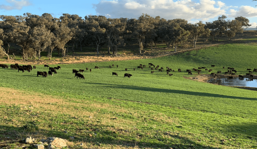 Movement at the station: Recent property listings