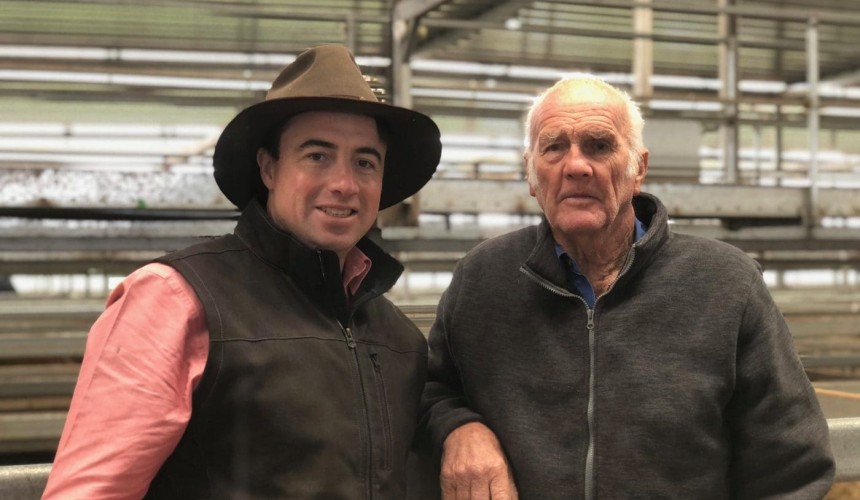 Market gallops along at Wodonga