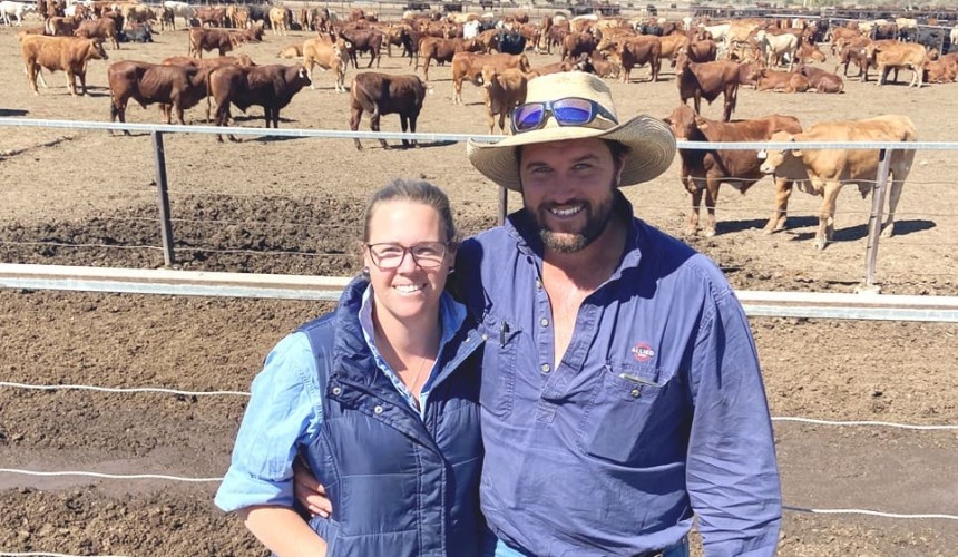 Large NSW, Qld feedlot investments for supply chain manager, Allied Beef