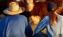 Students take a virtual farm excursion