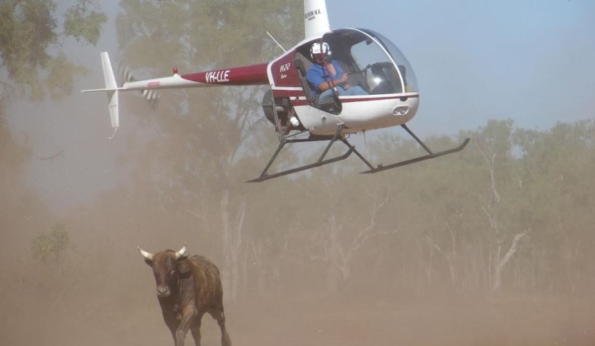 Strong uplift in helicopter sales reflect the good times in northern beef