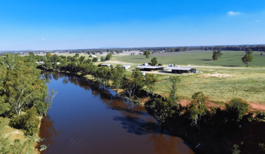 Hewitt Cattle Australia expands with NSW farming enterprise