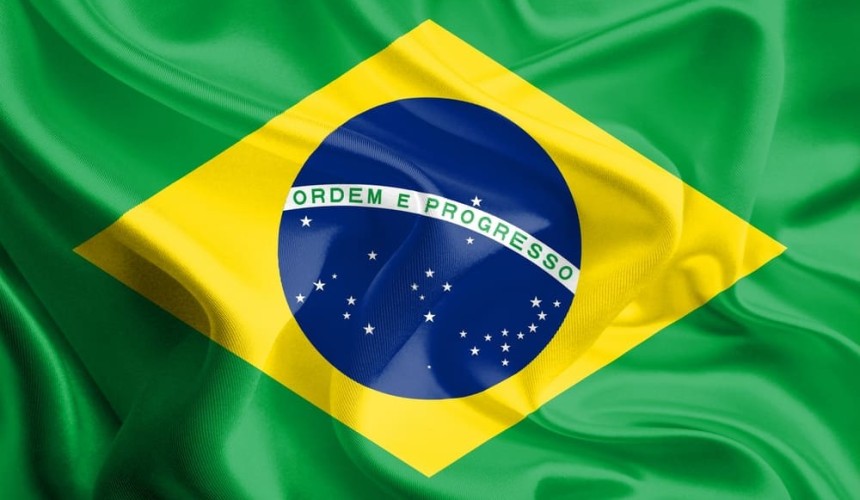 Brazil agriculture ministry investigating suspected case of BSE