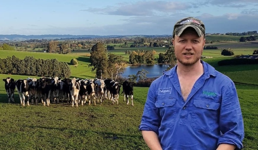 Mice plagues see elevated botulism risk in cattle