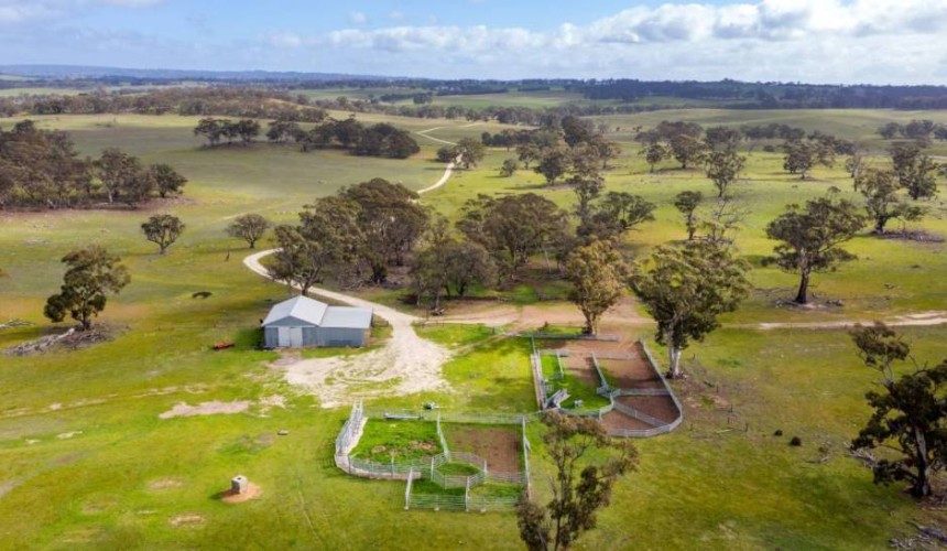 Weekly property review: Recently completed sales
